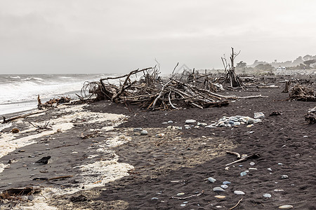 新西兰 Hokitika荷基提卡冒险鹅卵石海洋支撑木头天空旅游荒野海岸地平线图片