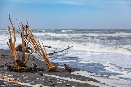 新西兰 Hokitika荷基提卡旅游木头海滩天气波浪海洋荒野海岸蓝色支撑图片