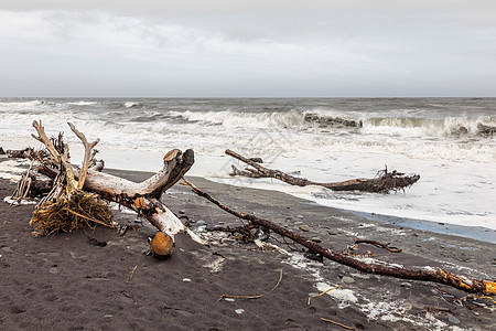 新西兰 Hokitika荷基提卡冒险天气波浪木头地平线旅游海洋荒野海岸海滩图片