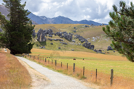 新西兰南部的风景图案国家旅游植物蓝色岩石情绪森林天空乡村棕色图片