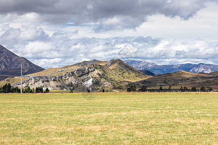 新西兰南部的风景图案树木乡村绿色棕色岩石情绪草地蓝色旅游森林图片