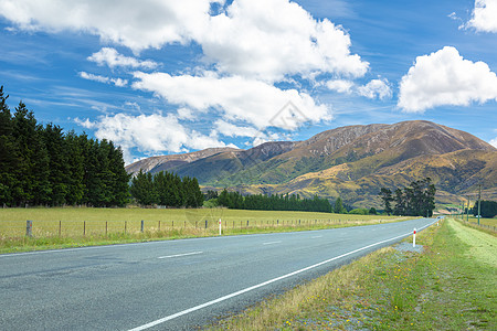 新西兰南部的风景图案乡村公园棕色旅行旅游植物绿色森林草地天空图片