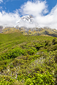 覆盖云雾的塔拉纳基火山 新西兰天气森林蓝色绿色旅游岩石植物吸引力旅行图片