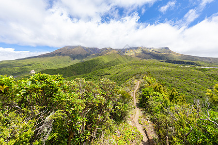 覆盖云雾的塔拉纳基火山 新西兰森林岩石天气植物吸引力绿色蓝色旅行旅游图片