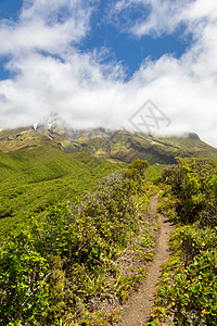 覆盖云雾的塔拉纳基火山 新西兰绿色天气岩石小路蓝色旅游吸引力森林植物旅行图片