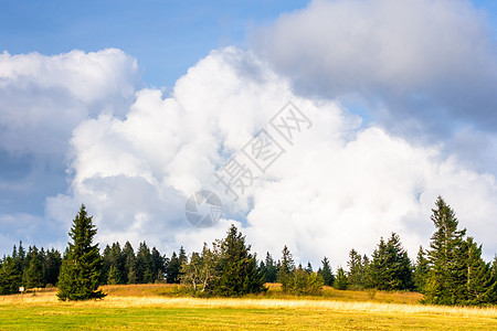 德国南部附近的风景景观草地白色黄色蓝色天空乡村森林黑色地平线植物图片