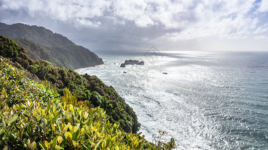 新西兰南部岛屿的海岸 西南岛风暴岩石天空植物海滩风景绿色天气海洋灰色图片