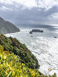 新西兰南部岛屿的海岸 西南岛绿色岩石地平线海洋风暴天气灰色天空戏剧性风景图片