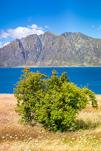 Wanaka湖新西兰南部岛屿天空爬坡旅游反射农村蓝色草地旅行顶峰风景图片