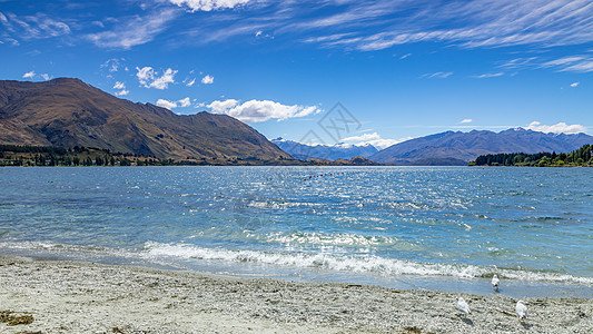 Wanaka湖新西兰南部岛屿鹅卵石旅行爬坡蓝色晴天草地反射风景农村旅游图片