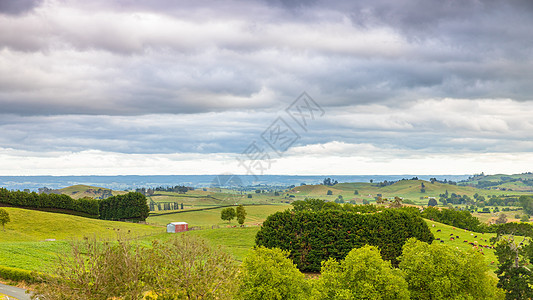 日落风景新西兰北岛乡村旅行场地天空农业风景草地国家场景农村图片