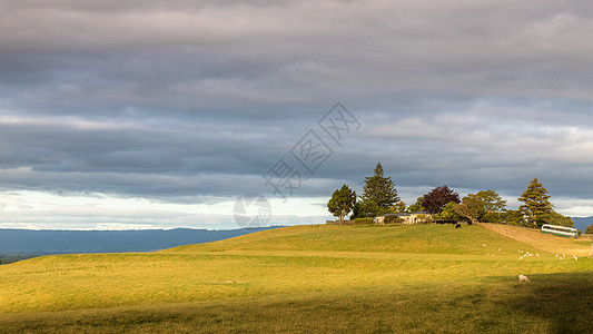 日落风景新西兰北岛季节栅栏农村场景植物场地草地天空日落风景图片