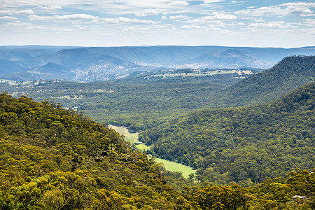 蓝山澳大利亚全景森林蓝色天空弯曲树木岩石黄色绿色丘陵山脉图片