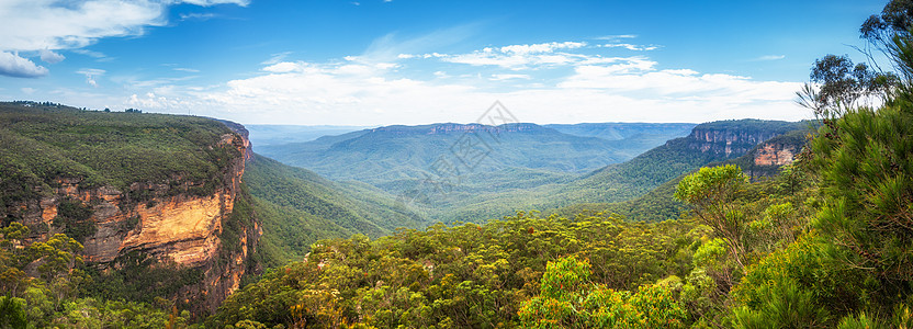 蓝山澳大利亚全景蓝色地平线天空山脉丘陵绿色岩石黄色树木森林图片