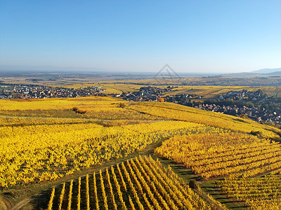 飞越法国Alsace葡萄园橙子季节航班黄色植物蓝色鸟瞰图天线天空爬坡图片