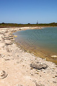 西澳大利亚西澳大利亚州塞提斯湖编队生物细菌海洋微生物海岸假期旅游地质学化石图片