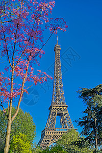 法国巴黎埃菲尔铁塔城市地标建筑学天际旅游旅行建筑首都图片