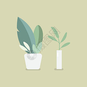宝盆栽异国风格海报植物群植物情调插图房间陶瓷装饰图片