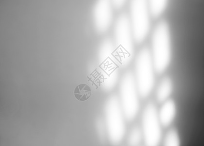 白色纹理背景上的窗口自然阴影叠加效果摄影植物学展示照片植物作品黑与白海报墙纸太阳图片