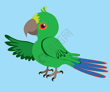 Parrot 鹦鹉热带羽毛卡通片灭绝鹦形目情调鸟类宠物动物群异国图片