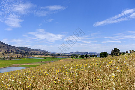 维特Tallangatta公路上山丘环绕着景象湖环绕天空旅行旅游爬坡蓝色农村晴天风景场地全景图片