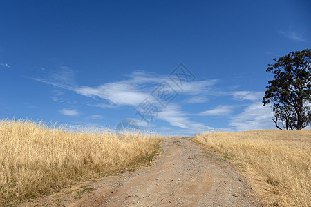 在维克托Tallangatta路上通往山丘的景象路晴天旅游农村旅行风景树木天空爬坡蓝色蓝天图片