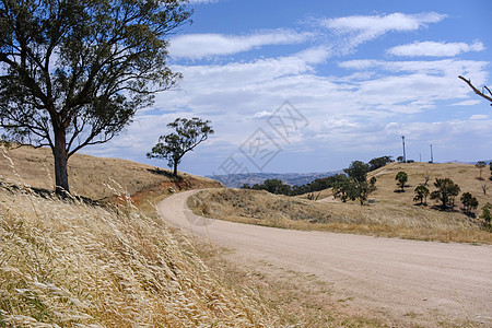 在维克托Tallangatta路上通往山丘的景象路全景风景树木蓝色旅行蓝天晴天场地旅游农村图片