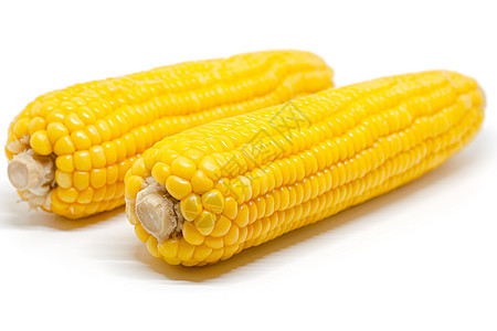 白色背景的甜玉米收成棒子蔬菜耳朵水果小吃营养农业谷物粮食图片