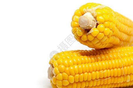 白色背景的甜玉米生产棒子主食美食种子植物内核营养粮食季节图片