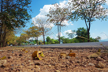 绿树地带的农村公路小路太阳沥青自由车道旅游交通街道环境地平线图片