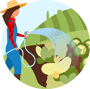 蔬菜作物种植平面概念图标 农民用软管浇灌植物 生态产品有机农产品增长 农业园艺贴纸剪贴画 白色孤立的卡通插图图片