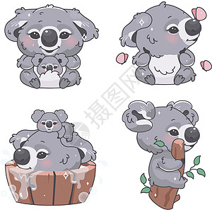 可爱的考拉熊 kawaii 卡通矢量字符集 可爱又有趣的动物坐在树枝上沐浴和放松孤立的贴纸包 在白色背景上的动漫婴儿考拉图片