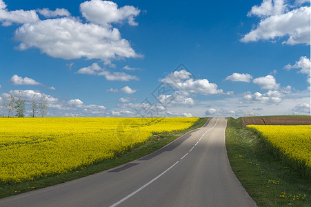 穿过光辉的乡村地貌的道路草地旅行交通运输国家场景蓝色风景驾驶晴天图片