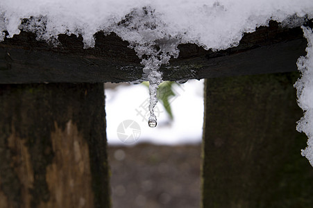 木板上的熔冰冰和新鲜雪图片