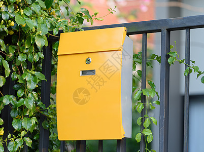 黑色栅栏上现代黄色邮箱 上面有美丽的黄黄色地址信箱盒子住宅信封植物群植物花园房子叶子图片