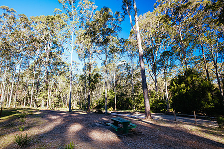 澳大利亚的Bodalla公园和Mummuga湖公园小路植物群乡村踪迹森林休息区远足国家植物图片