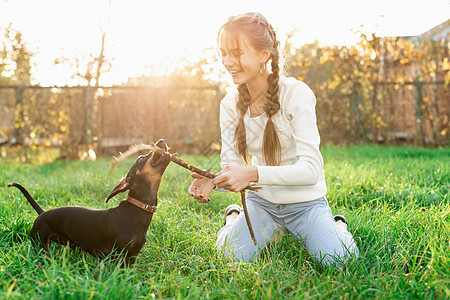 有趣的dachshund与她的主人在草地上玩耍犬类动物血统小狗朋友公园友谊宠物女孩哺乳动物图片