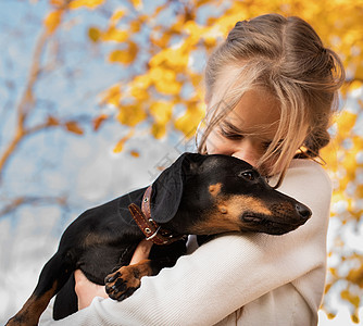 少女在户外抱着她的dachshund狗拥抱动物成人友谊小狗微笑蓝色朋友宠物青少年图片