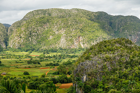 具有山地景观的绿色卡利比亚山谷 比纳莱斯 皮农场酒类风景热带爬坡国家地区农村棕榈植物图片