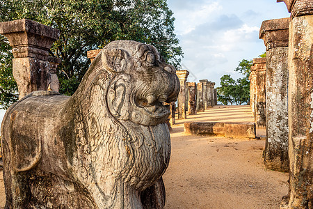 尼桑卡马拉马拉金观众厅的狮子雕像 波隆纳尔柱子国王文化雕塑建筑学花园公园地标历史性历史背景图片