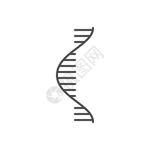 RNA 相关向量细线 ico核糖生物学螺旋插图基因医疗药品遗传学标识技术图片