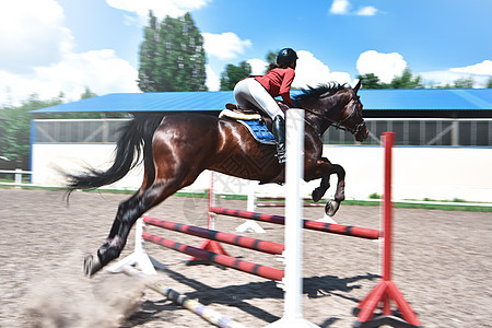 骑马的年轻女性骑师跨越了障碍课程动物展示场地女士冠军马术酒吧乐趣飞跃图片
