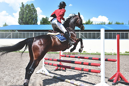 骑马的年轻女性骑师跨越了障碍骑士运动行动竞赛栅栏速度乐趣酒吧动物女士图片