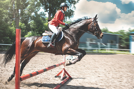 骑马的年轻女性骑师跨越了障碍展示酒吧乐趣栅栏骑士竞赛女孩行动冠军运动图片