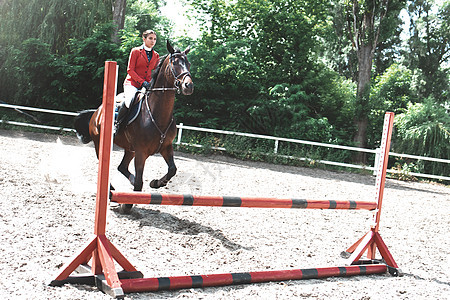 骑马的年轻女性骑师跨越了障碍课程速度行动运动竞赛马术马背酒吧动物飞跃图片