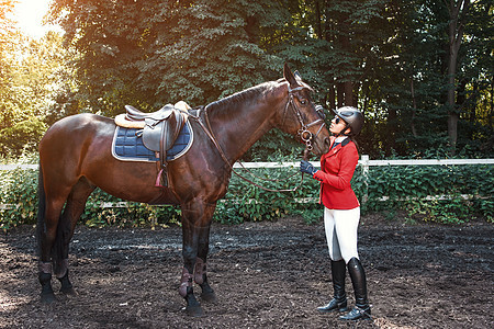 女孩骑手和一匹马在春林中摆布图片