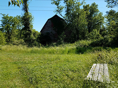 红色旧谷仓 有草 树木和木板木头建筑长椅农场座位椅子杂草绿色风化图片