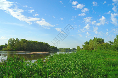 美丽的夏季风景天空木头晴天森林季节公园乡村阳光草地池塘图片