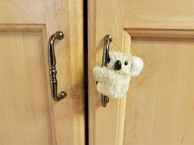 小考拉熊在柜门把手上动物木头内阁橱柜野生动物图片