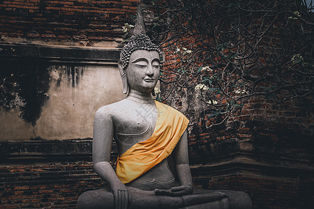 Ayutthaya历史公园佛像图片